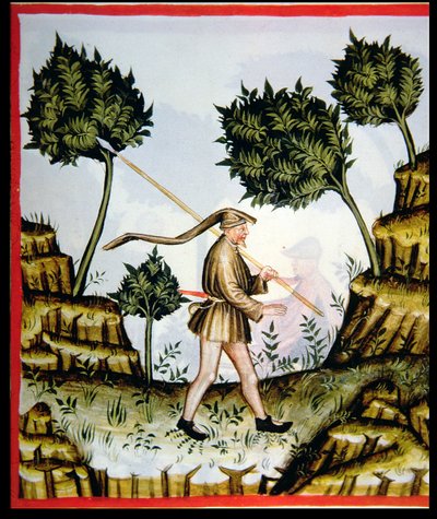 The South Wind, from Tacuinum Sanitatis by Italian School